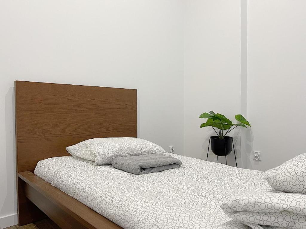Polonia Art Apartments In The City Center Katowice Ngoại thất bức ảnh